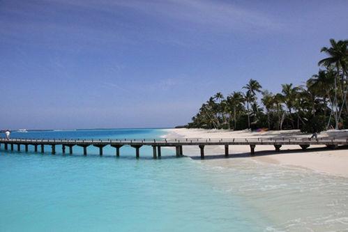 去馬爾地夫蜜月旅遊怎樣選度假島？