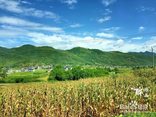 2016張家界個人自助遊天門山景區旅遊攻略