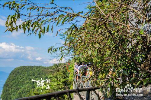 2016張家界個人自助遊天門山景區旅遊攻略