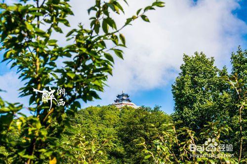 2016張家界個人自助遊天門山景區旅遊攻略