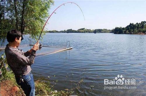 初學釣魚要增強提竿意識