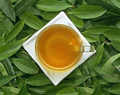 關於烏龍茶的四種香型