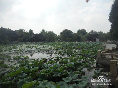 上海公園行：[1]上海大觀園