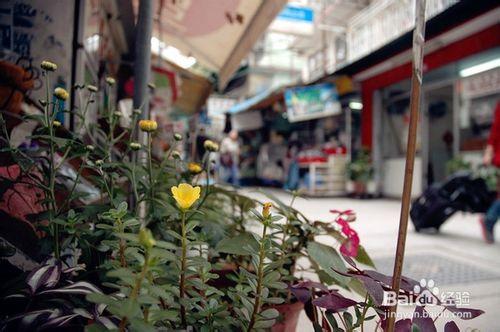 香港南丫島露營攻略