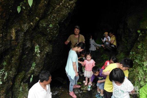 六一帶著孩子們去野炊