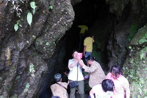 六一帶著孩子們去野炊