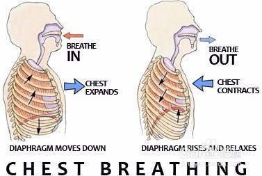 橫隔膜的呼吸方法