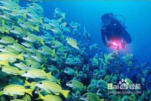 馬爾地夫滿月島蜜月旅遊的首選島嶼