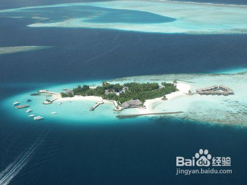 馬爾地夫波莉珊瑚島Bolifushi旅遊出行攻略