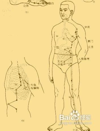 中醫推拿法，輕鬆去贅肉