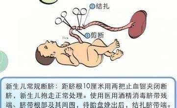 胎盤幹細胞的作用