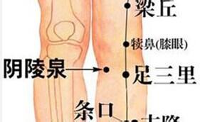 去除身體溼氣的好穴位