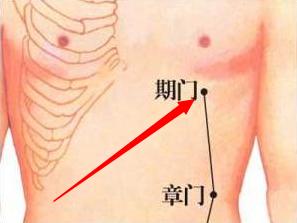 期門穴位位置圖及作用
