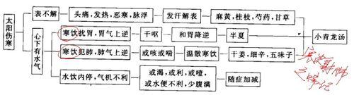 傷寒論考點重點疏理：[13]麻黃湯兼證