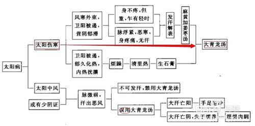 傷寒論考點重點疏理：[13]麻黃湯兼證