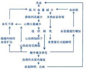 生活中需要掌握的急救常識