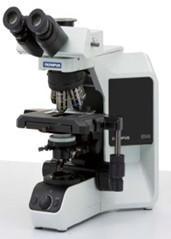 怎麼使用顯微鏡的油鏡