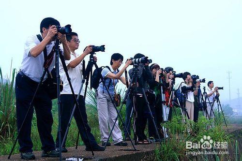 怎麼提高攝影技巧 如何玩轉單反 新手入門教程