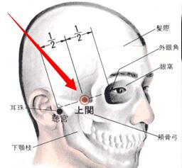 上關穴穴位位置圖及作用