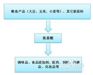 行業分析報告：[2]氨基酸行業發展趨勢篇