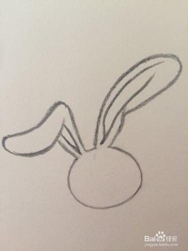 簡筆畫—超萌兔子