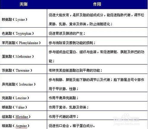 行業分析報告：[2]氨基酸行業發展趨勢篇