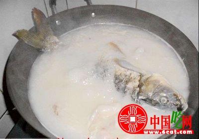 清燉鯉魚湯的做法，清燉鯉魚湯怎麼做