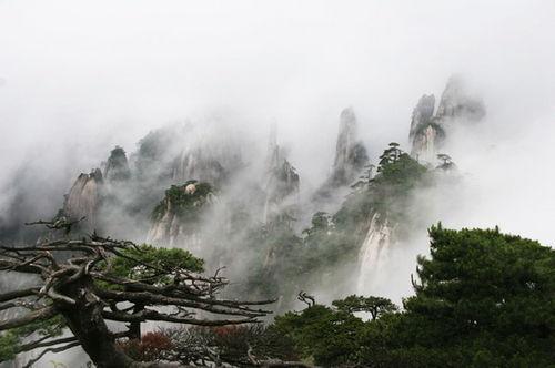 怎樣選購三清山特產