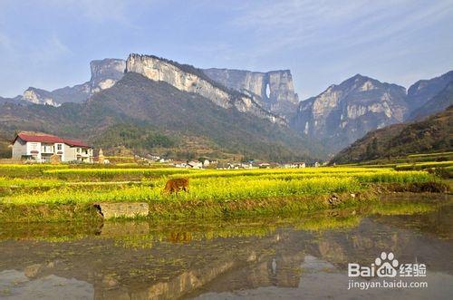 十一黃金週張家界旅遊住宿