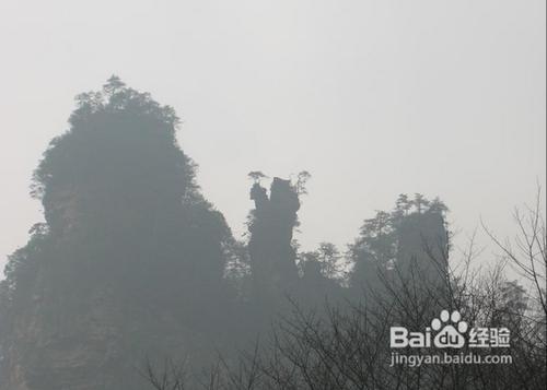 錐子山旅行日記