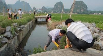 捕捉野生龍蝦的實用技巧