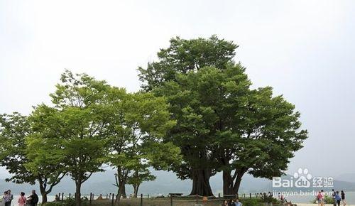 電影拍攝勝地楊平兩水裡旅遊攻略