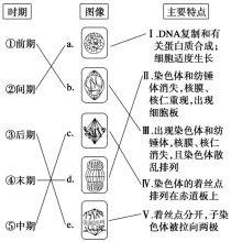 真核生物的細胞分裂方式有哪些？