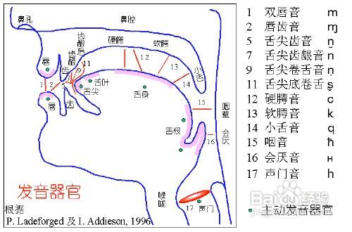 怎樣才能做到發音吐字清晰