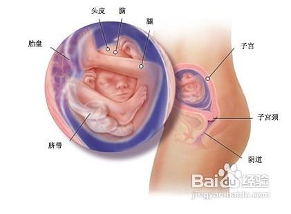 孕前檢查不單單是做B超那麼簡單