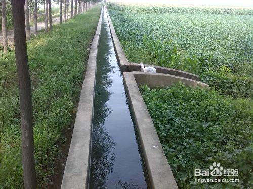 怎樣用柴油機帶水泵澆地