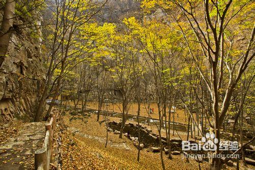 石膏山森林公園四季風光特色