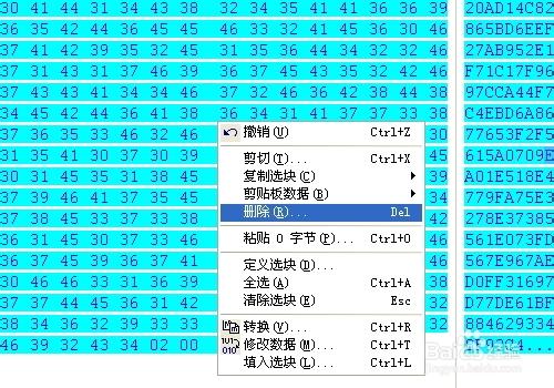 加密視訊破解 exe加密視訊如何破解