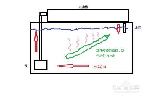 水族箱使用加熱棒的注意事項