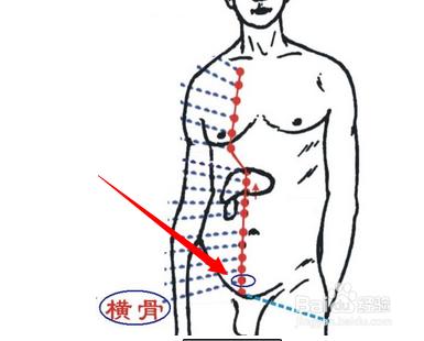 橫骨穴位位置圖及作用