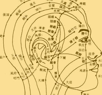 利用中醫方法調理痘痘