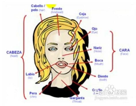 怎樣正確地學好西班牙語？