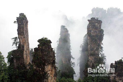 去張家界旅遊如何選擇旅行社