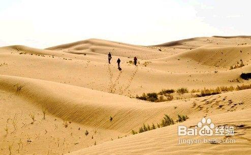 蘇州去內蒙古旅遊要多少錢