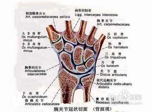 辦公族如何防治滑鼠手?