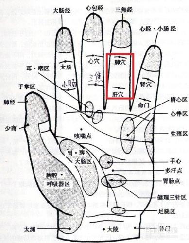 得了肛裂怎麼辦？冶療肛裂（便血）的方法