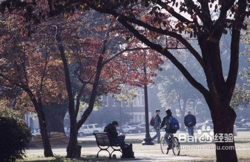 美國阿拉巴馬農工大學獎學金如何申請？