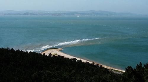 怎樣遊玩煙臺長島林海公園