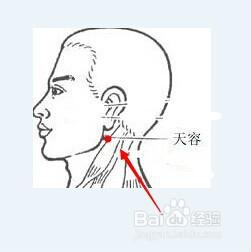 穴位按摩等於身體健康（2）