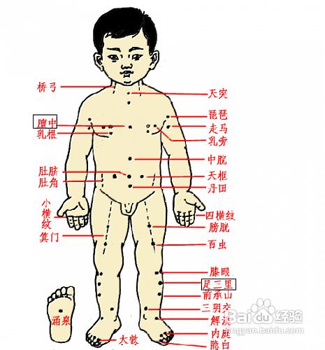 怎樣自制三伏貼